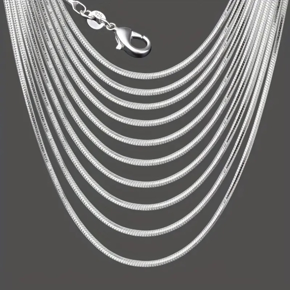 Silver plated Chine Stylish and Durable Silver Snake Bone Pattern - Picture 1 of 4